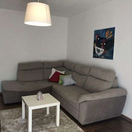 Apartment Safran Novigrad  Zewnętrze zdjęcie