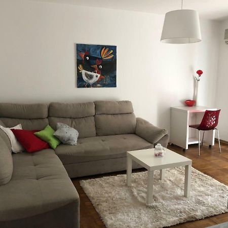 Apartment Safran Novigrad  Zewnętrze zdjęcie