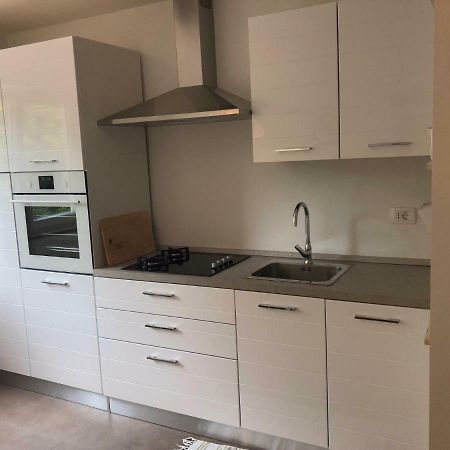 Apartment Safran Novigrad  Zewnętrze zdjęcie