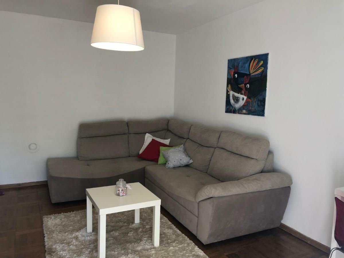 Apartment Safran Novigrad  Zewnętrze zdjęcie