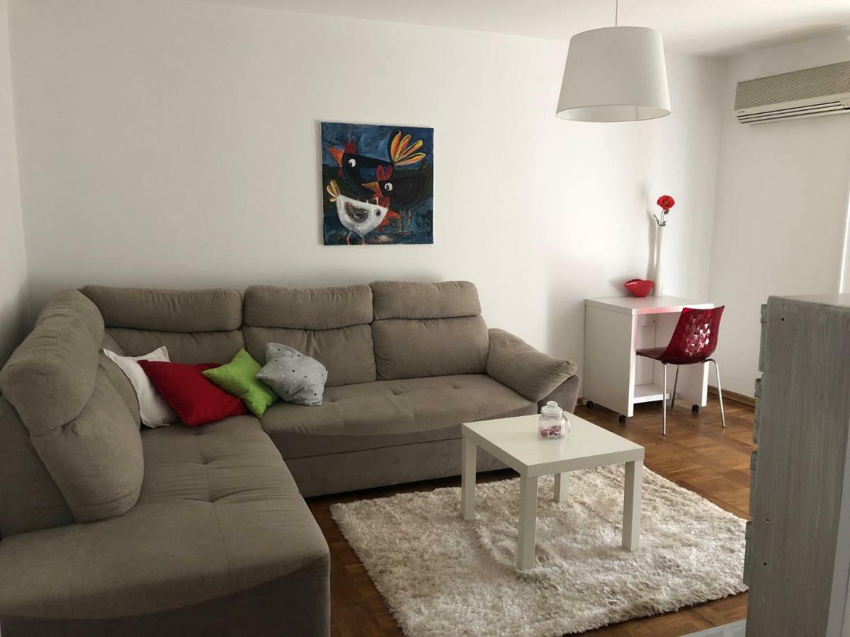 Apartment Safran Novigrad  Zewnętrze zdjęcie