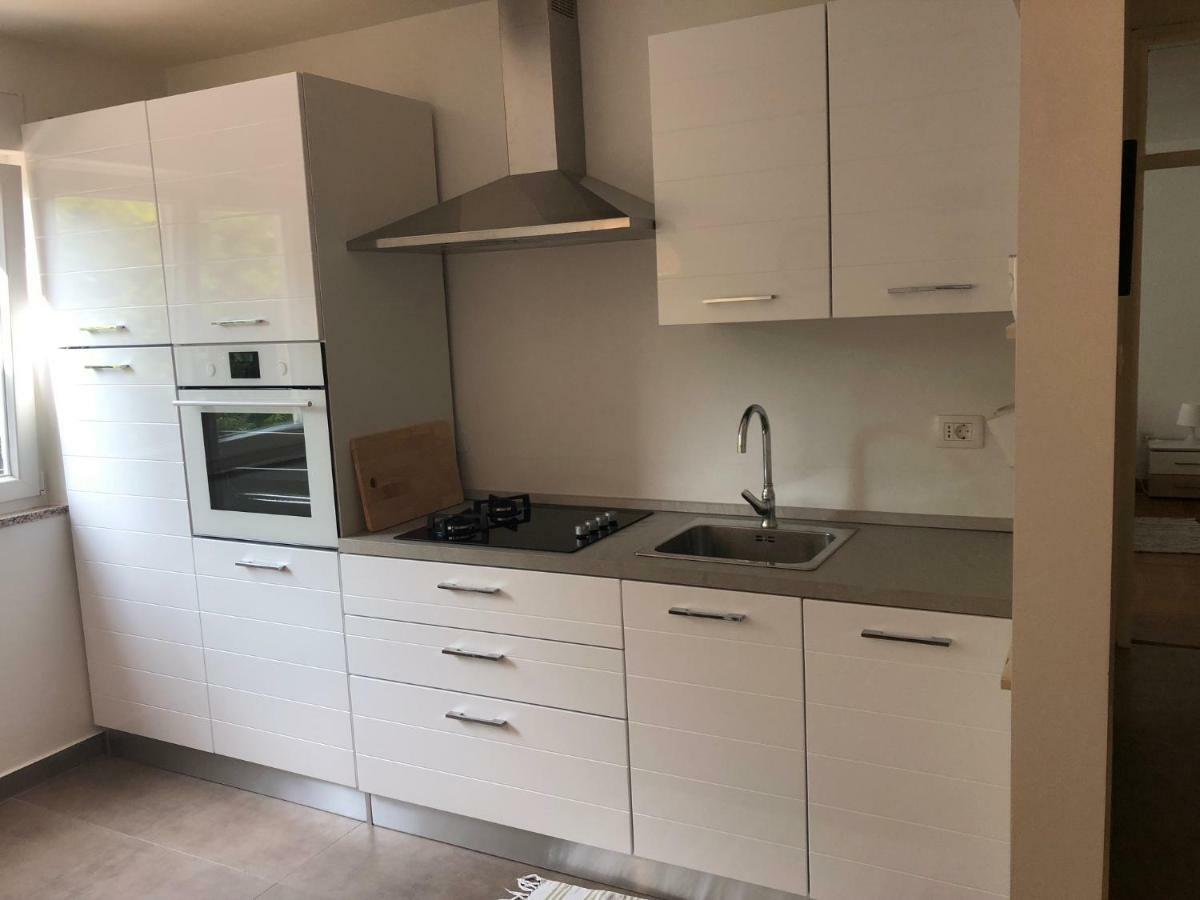 Apartment Safran Novigrad  Zewnętrze zdjęcie