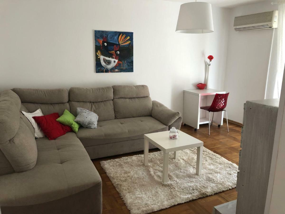 Apartment Safran Novigrad  Zewnętrze zdjęcie